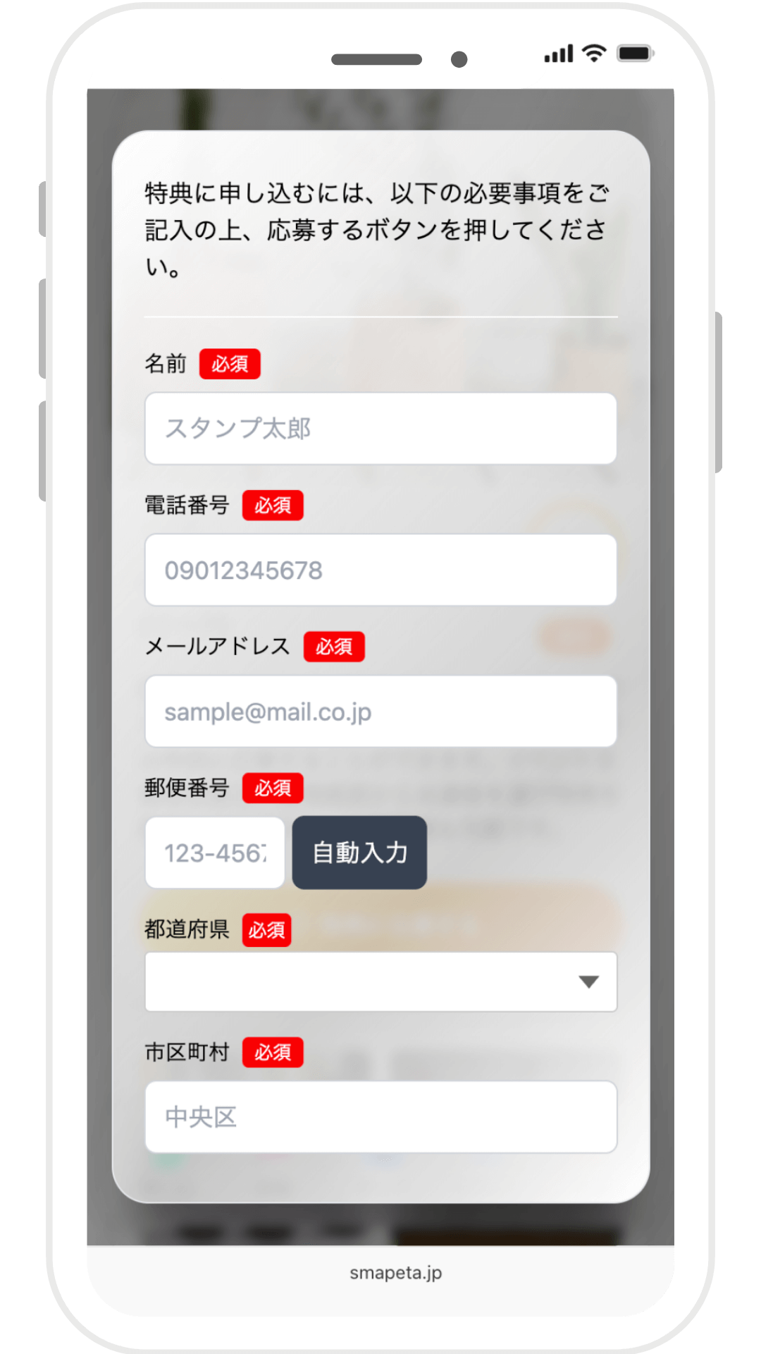 応募フォーム
